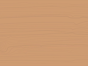 9-Ⅴ-04-10-03 The Insect Group縮圖