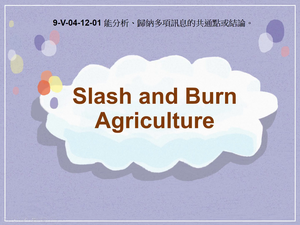 9-Ⅴ-04-12-01 Slash and Burn Agriculture縮圖