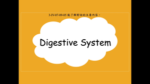 Digestive System縮圖