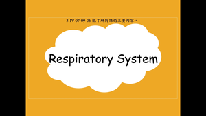 Respiratory System縮圖