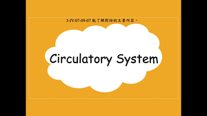 Circulatory System縮圖