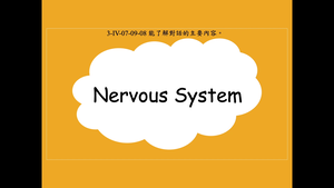 Nervous System縮圖