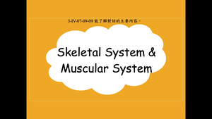Skeletal System & Muscular System縮圖
