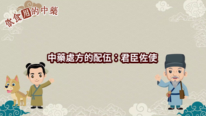 NMNS-TCM-A-6 中藥處方的配伍：君臣佐使-資源代表圖