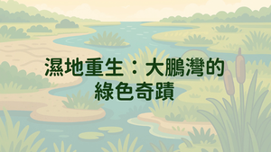 大鵬灣的綠色奇蹟-資源代表圖