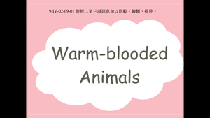 Warm-blooded Animals-資源代表圖