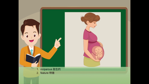 Viviparous-資源代表圖