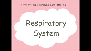 Respiratory System-資源代表圖