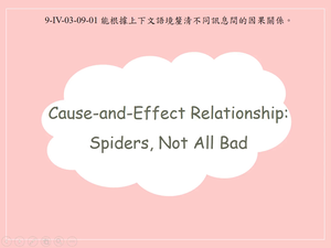 Cause-and-Effect Relationship: Spiders, Not All Bad-資源代表圖