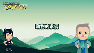 NMNS-TES-A-8 動物的求偶~1縮圖