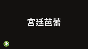 宮廷芭蕾-資源代表圖