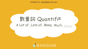 數量詞Quantifiers: A lot of, Lots of, Many, Much, Some-資源代表圖