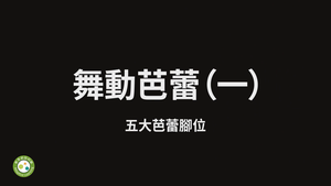 舞動芭蕾（一）－五大芭蕾腳位