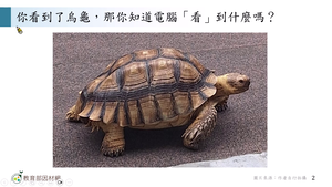 A-技11C-4-S01縮圖