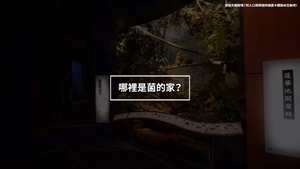 NMNS-TES-B-7 臺灣自然生態-AR互動線上影片2縮圖