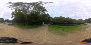 【VR360數位走讀】小半天孟宗竹林古戰場【鹿谷DOC】