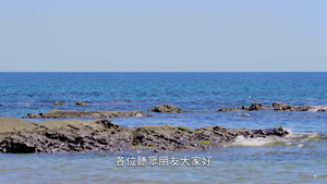 電影社的暑假作業